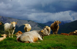 2.1 (5) De Turismo en Isaba