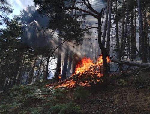 Isaba ya cuenta con un plan de actuación contra incendios forestales